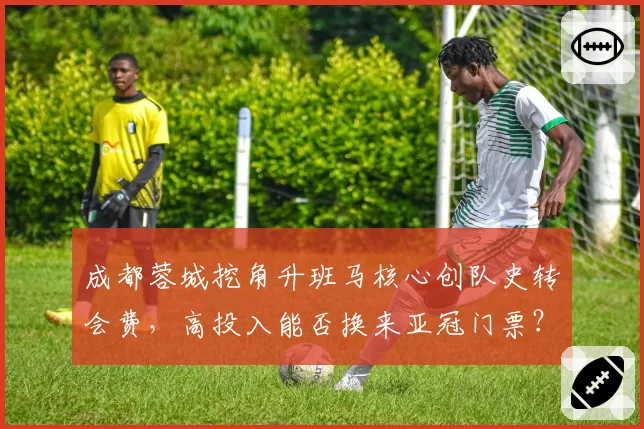 成都蓉城挖角升班马核心创队史转会费，高投入能否换来亚冠门票？